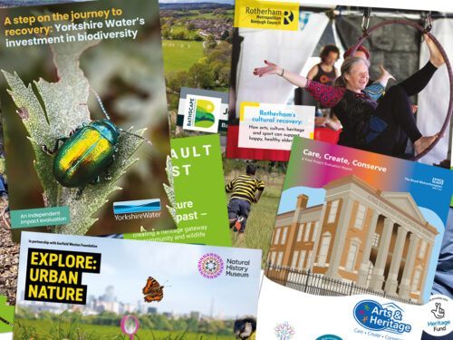 Evaluation Reports covers